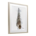 thumbnail image 3 of Stupell Industries Honeybloom Turritella Shell Birch Framed Print Under Glass design by Matthew Piotrowicz, 21 x 17, 3 of 10