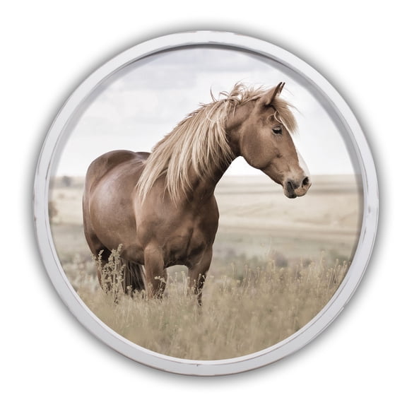 Creative Products Sepia Toned Horse Pasture 20 x 20 Round White Framed Print