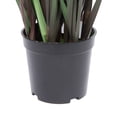 thumbnail image 3 of Vickerman 24" Artificial Potted Green Grass and Eucalyptus., 3 of 6