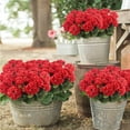 thumbnail image 4 of Morttic 4 Pcs Artificial Geraniums Silk Flowers Outdoor Artificial Red Geranium Bush Faux Flowers Red Geraniums for Floral Home Decor Outdoor Indoor Garden Patio Grave Cemetary Vase Table Centerpiece, 4 of 7