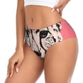thumbnail image 2 of Balery Pink Cheetah Art Ropa Interior de Algodón para Mujer con Dibujo – Braguitas Cómodas y Elásticas, Estilo Clásico-Medium, 2 of 6