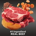 thumbnail image 4 of Pure Balance Wild & Free Air Dried Dog Food Beef Recipe, 2 lbs, 4 of 10