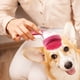 thumbnail image 4 of Cepillo de baño para mascotas Cepillo de masaje de silicona para perros | Peinate y exfoliante multifuncional para mascotas | Peluquero de masaje suave y cómodo para baño | Agarre fácil 18x7x7cm | 1, 4 of 5