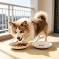 thumbnail image 4 of Shallow Cat Food Plate Wide Flat Kitten Feeding Bowl with Non-Slip Silicone Base Fish Bone Paw Print Pet Food Dish for Cat Puppy Small Animals Dry Wet Food Whisker Fatigue Relief, 4 of 7
