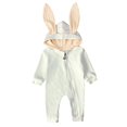 thumbnail image 1 of Pyjama de Pâques pour Tout-Petit Bébé Combinaison Lapin une Pièce à Capuche Vêtements de Nuit Pyjama de Pâques, 1 of 5