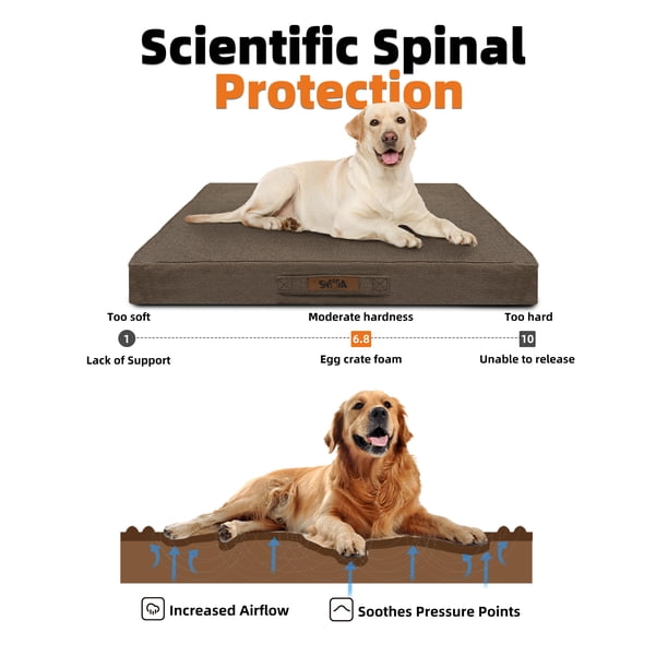Sytopia Orthopedic XL Dog Bed, Waterproof, Chew-Proof, Egg Crate