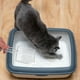 thumbnail image 4 of Pala de acero inoxidable para arena de gatos, pala de metal para excrementos, caja de arena, tamiz resistente para excrementos de gato, fácil limpieza para gatos pequeños, 4 of 6