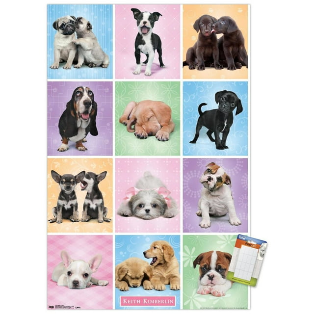 Keith Kimberlin - Puppies - Cuties Grid Wall Poster, 22.375" x 34"