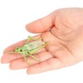 thumbnail image 4 of Toy - Simulation Kids Toys | Assorted Figures Small Animal Model For Scene Decoration Event SuppliesGrasshopper, 4 of 5