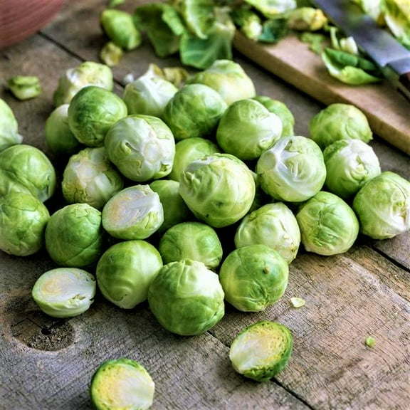 Churchill Brussel Sprout Seeds - 500 Count Seed Pack - A Vigorous, Easy-to-Grow Variety for Diverse climates - Country Creek LLC