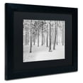 thumbnail image 3 of Trademark Fine Art "Frozen World" Canvas Art by Philippe Sainte-Laudy, Black Matte, Black Frame, 3 of 4