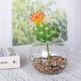 thumbnail image 2 of Mainstays 6.45" Artificial Green Cactus with Orange Flower Pick, 2 of 5