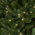 thumbnail image 3 of Nearly Natural 7' Oregon Spruce Christmas Tree with 850 LED Lights and 1796 Branches - Green, 3 of 10