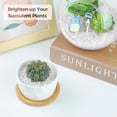 thumbnail image 4 of Vidrio decorativo, astillas, piedras, cuarzo triturado T4U, 900 g, 4 of 7