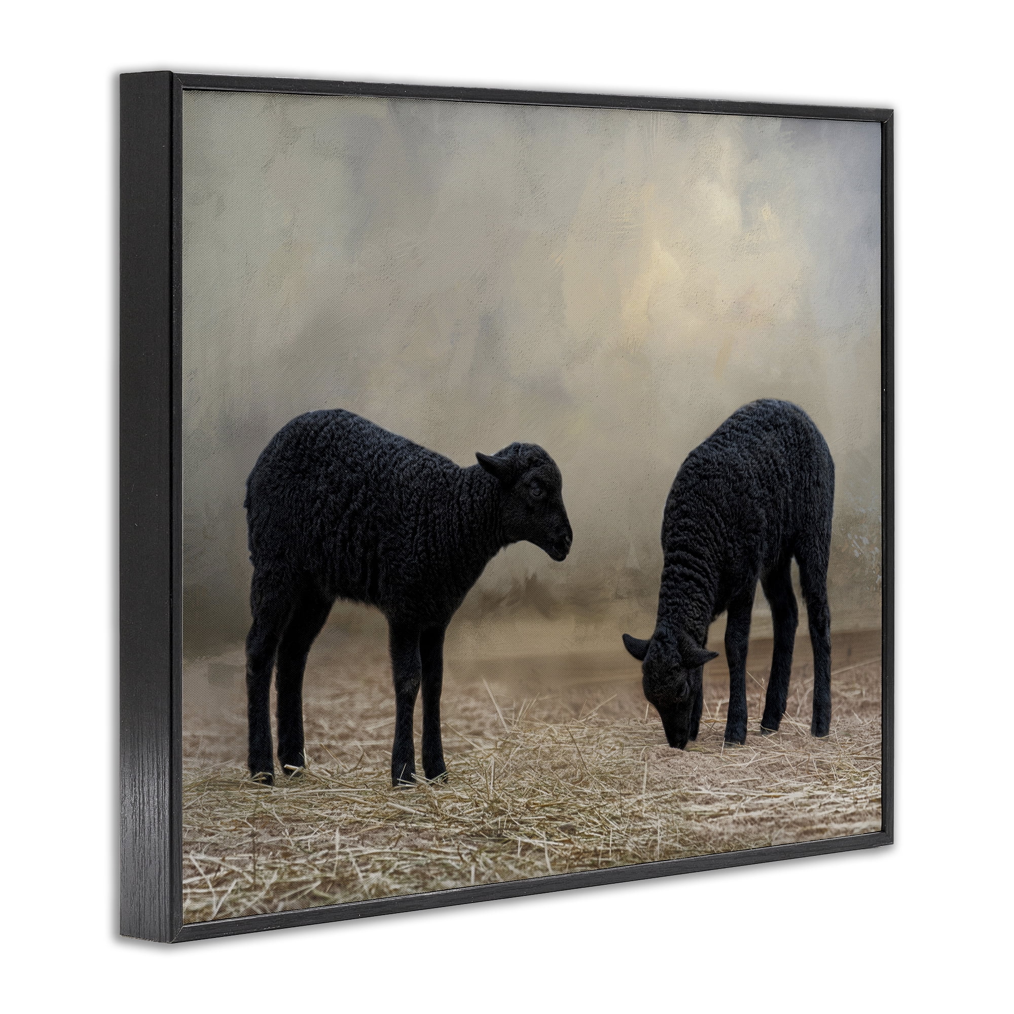 Stupell Industries Black Sheep Grazing Animals & Insects Photography Black Framed Art Print Wall Art, 14 x 11