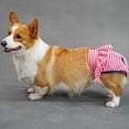 thumbnail image 3 of Pebbuoy Dog Menstrual Pants Female Dog Sanitary Pants Dog Period Panties Breathable Stripe Pattern Prevents Soiling Harassment Female Dog Diaper Briefs for Untrained Puppies, 3 of 8