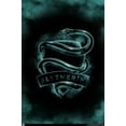 thumbnail image 1 of Harry Potter - Slytherin Crest Magic Wall Poster, 22.375" x 34", 1 of 4