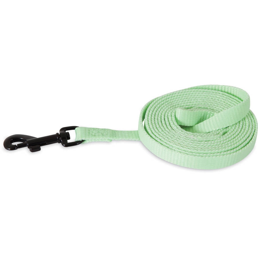 Glow in the dark leash Clearance
