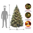 thumbnail image 5 of National Outdoor Living 7 ft. Carolina Pine Tree with Clear Lights Artificial Christmas Tree, 5 of 6