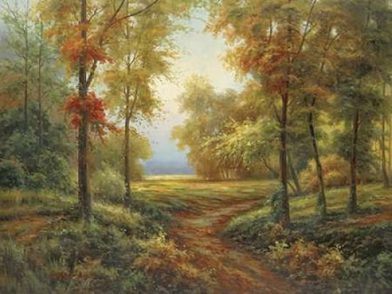 Early Autumn Path C