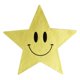 thumbnail image 4 of Pegatinas de estrellas doradas metálicas con cara feliz, 25 mm, 1 pulgada, etiquetas brillantes, paquete de 500 Zefei Wu 9024735032182, 4 of 4