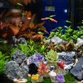 thumbnail image 4 of Hbdhejl Décoration Aquarium Fond Simulation Corail Décoration Imitation Pierre Résine Rocaille, 4 of 9