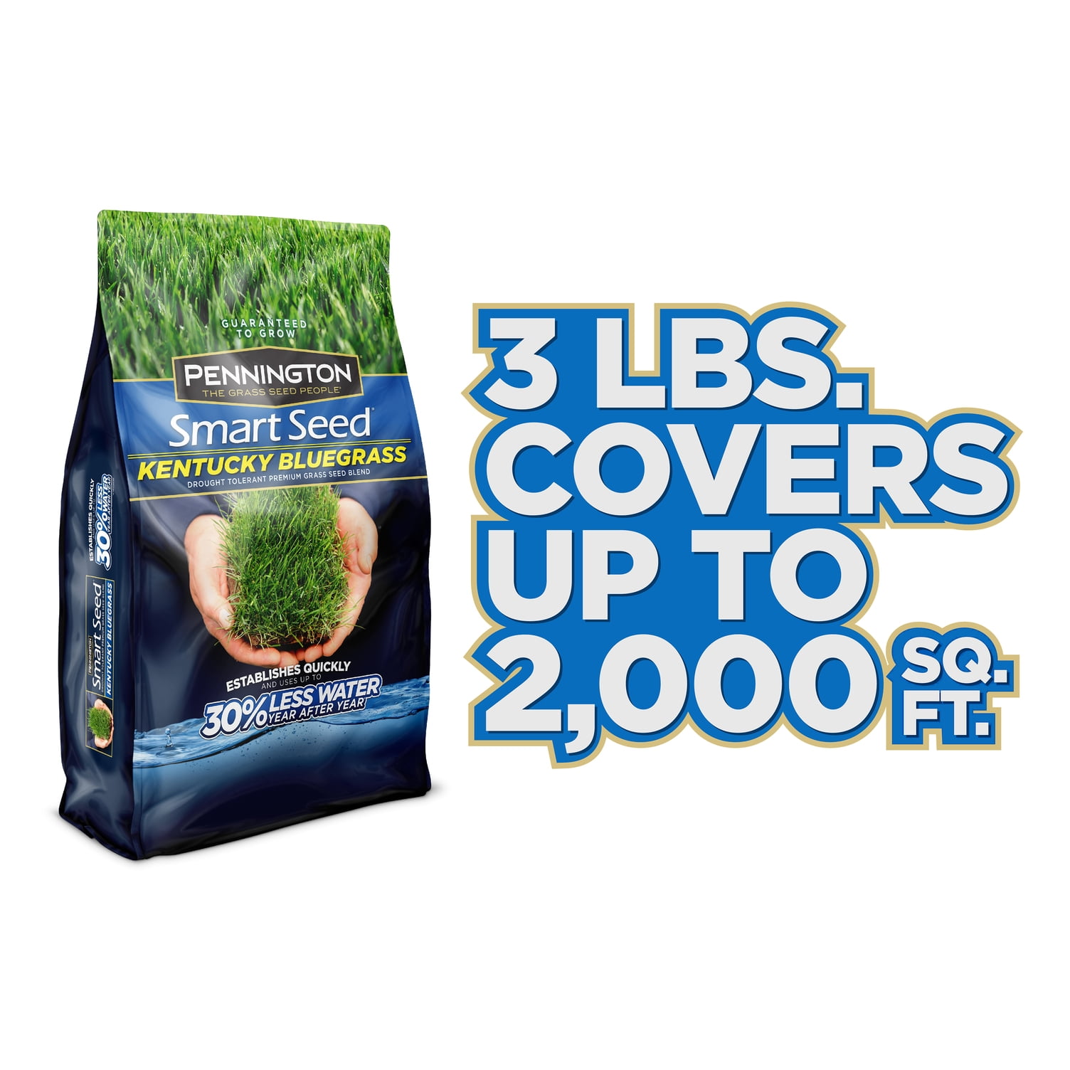 Pennington Smart Seed Kentucky Bluegrass Grass Seed, 3 Pounds