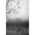 thumbnail image 2 of Poinski, Dianne 23x32 White Modern Wood Framed Museum Art Print Titled - Misty Pond 2 BW, 2 of 4
