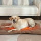 thumbnail image 2 of PRODUCTOS PARA MASCOTAS: Almohadilla autocalentable para cama, tapete térmico autocalentable para perros, almohadilla térmica para gatos, tapete calentador para gatos salvajes y de interior., 2 of 5