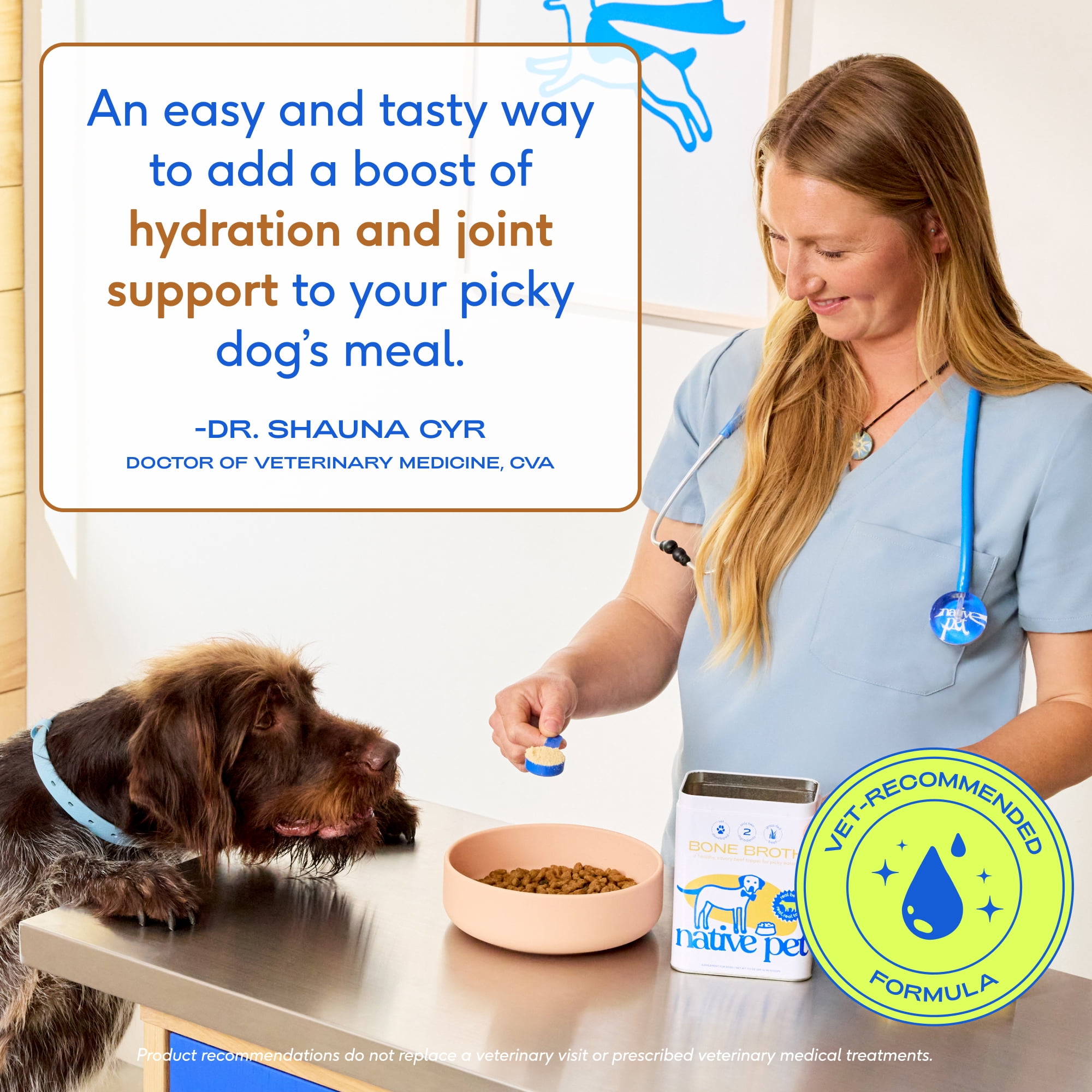 Native Pet Grass Fed Beef Broth, Bone Broth Protein Powder Food Topper for Dogs & Cats, 9.5oz