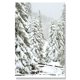 thumbnail image 3 of Funda para portátil compatible con MacBook Air/Pro de 13 a 13,6 pulgadas, MacBook Pro de 14 pulgadas, MacBook Air M1 y M2 de 13/13,3 pulgadas, 3 of 5