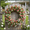 Multicolor2, variant on VBODN Independence Day Decorations,Fourth Of July Independence Day Decorations,Hanging Decorations,281th Of July Decorations Patriotic Memorial Day Tabletop Decorations