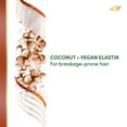 thumbnail image 2 of Dove Beauty Real Resist Coconut & Vegan Elastin Sulfate-Free Shampoo (Pack of 4), 2 of 5