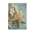 thumbnail image 3 of 12x18 inch Double-Sided Garden Flags Banners Vibrant Outdoor Decor for House Patio Outdoor Starfish with Flowers, 3 of 6