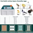 thumbnail image 6 of TOPCHANCES 16 Eggs Incubators for Hatching Eggs Digital Automatic Egg Turner Temp Control with Egg Candler Farm Poultry Incubators, 6 of 6