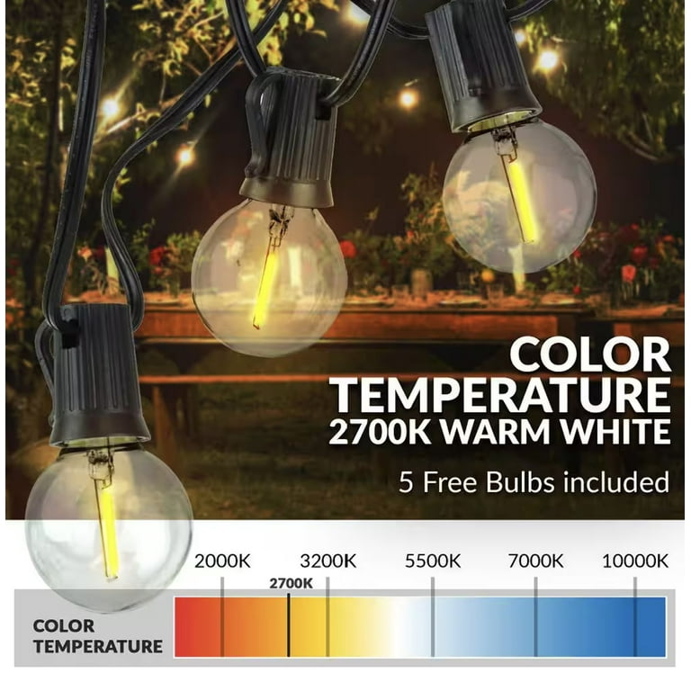 Indoor/Outdoor 50 ft. Plug-In Party LED Outdoor String Lights with 55 LED Globe G40 Bulbs (5-Free Bulbs Included) Indoor/Outdoor 50 ft. Plug-In Party LED Outdoor String Lights with 55 LED Globe G40 Bulbs (5-Free Bulbs Included)