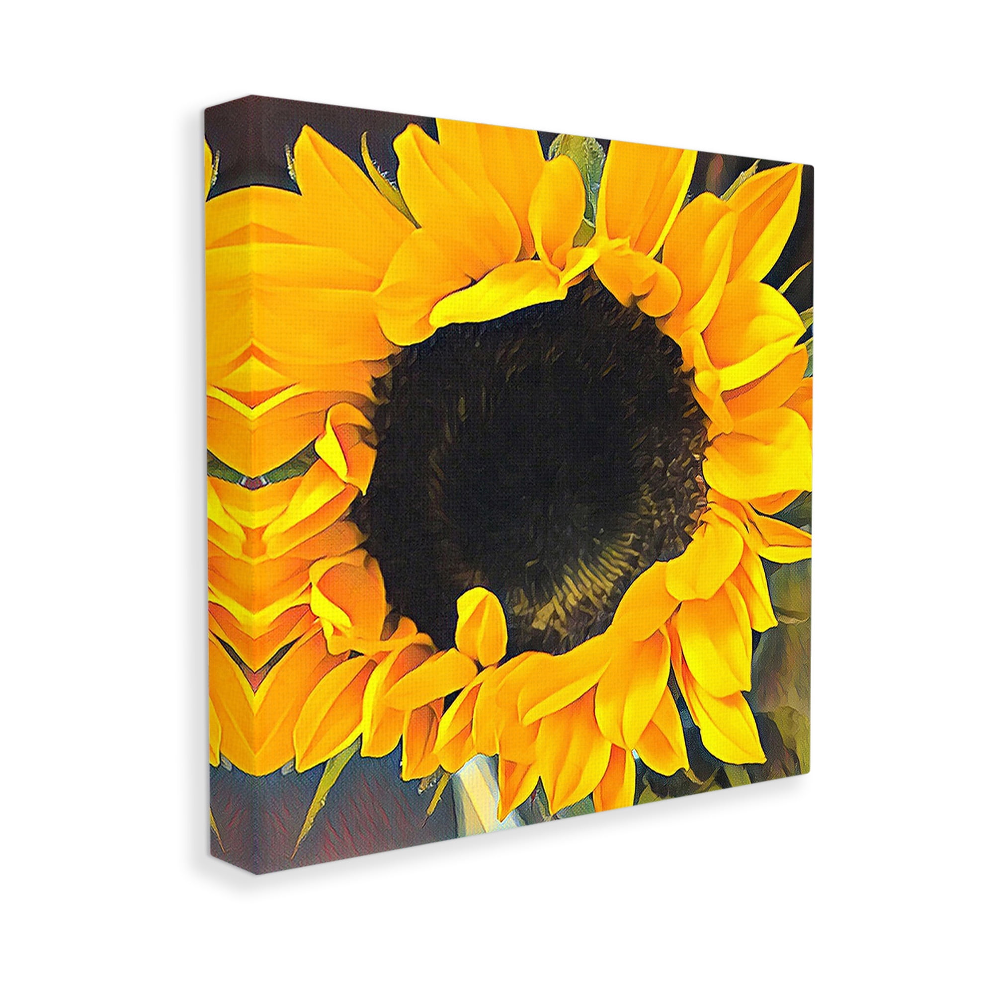 Stupell Industries Vivid Yellow Sunflower Botanical & Floral Painting Gallery Wrapped Canvas Art Print Wall Art, 36 x 36