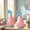 Pink, variant on Plant Spray Bottle Adjustable Mist Stream Sprayer, Fine Mist Even Watering Leakproof Nozzle Ergonomic Trigger Easy Use, for Indoor Plants Cleaning Hair Styling Home Use