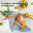 thumbnail image 2 of Chef'n FreshForce Lime Juicer, 2 of 7