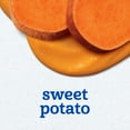 thumbnail image 4 of (4 pack) Gerber 1st Foods Baby Food, Sweet Potato Puree, Clean Label Project, 2 oz Tubs (2 Pack), 4 of 16