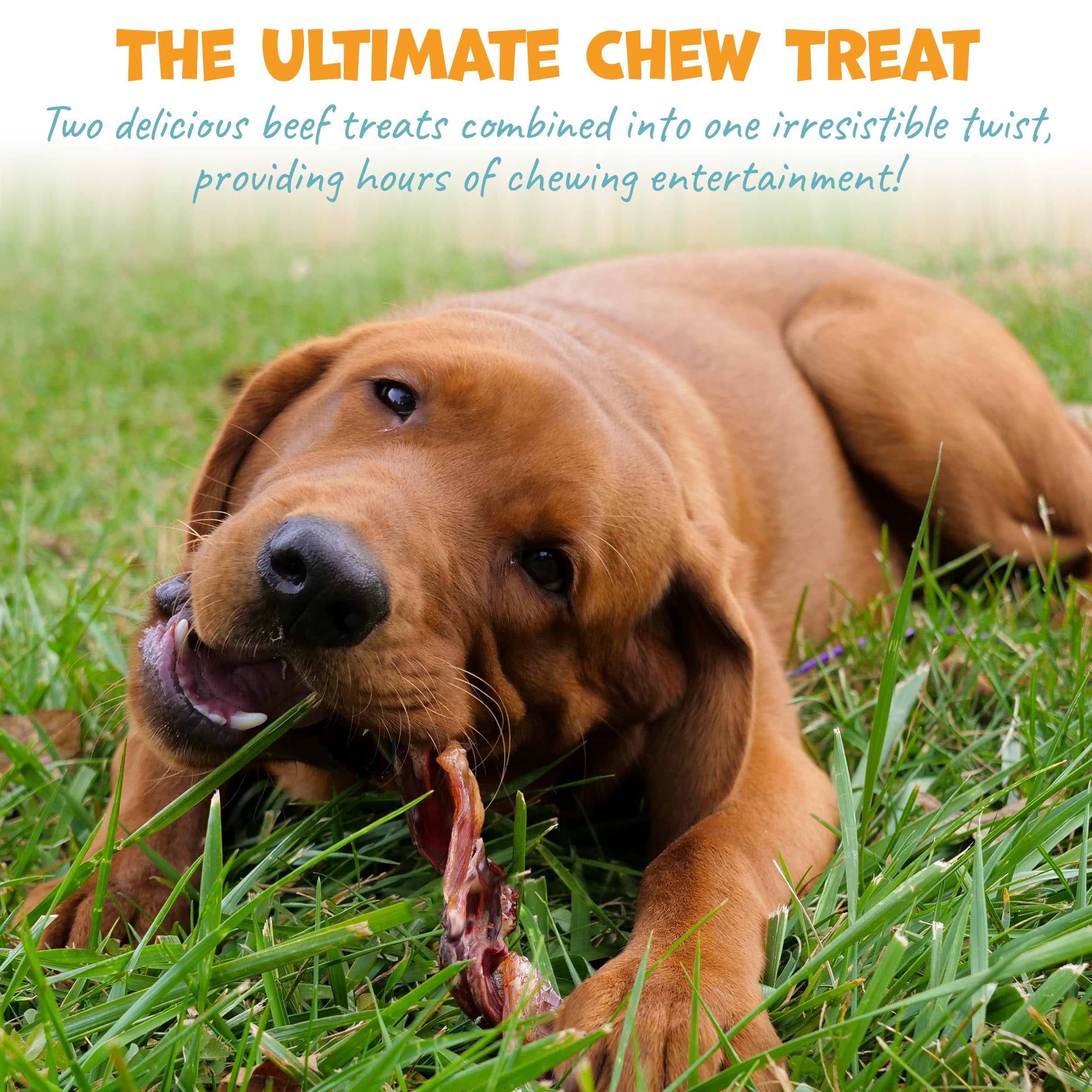 Pack Approved Bull Beef Twist - Beef Dog Treats for Medium Dogs & Large Breeds- Long Lasting Dog Chews for Aggressive Chewers - 9" (3ct)