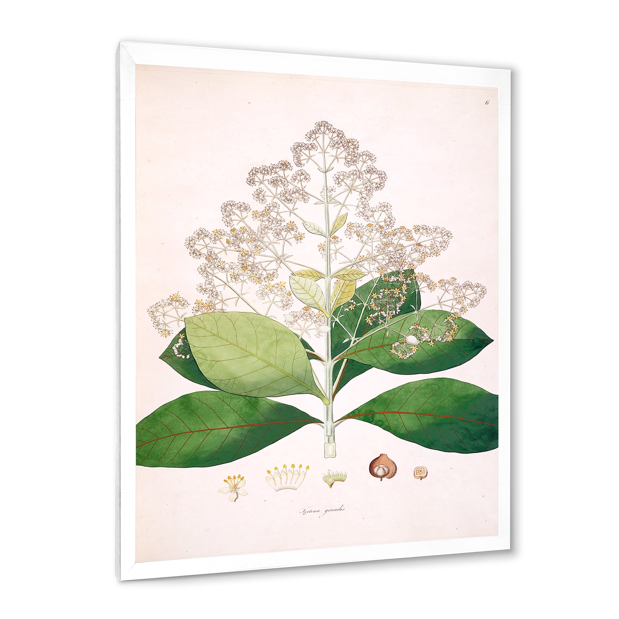 Designart 'Ancient London Plants III' Farmhouse Framed Art Print