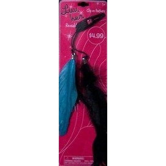 Hair Accessory Clip on Feather