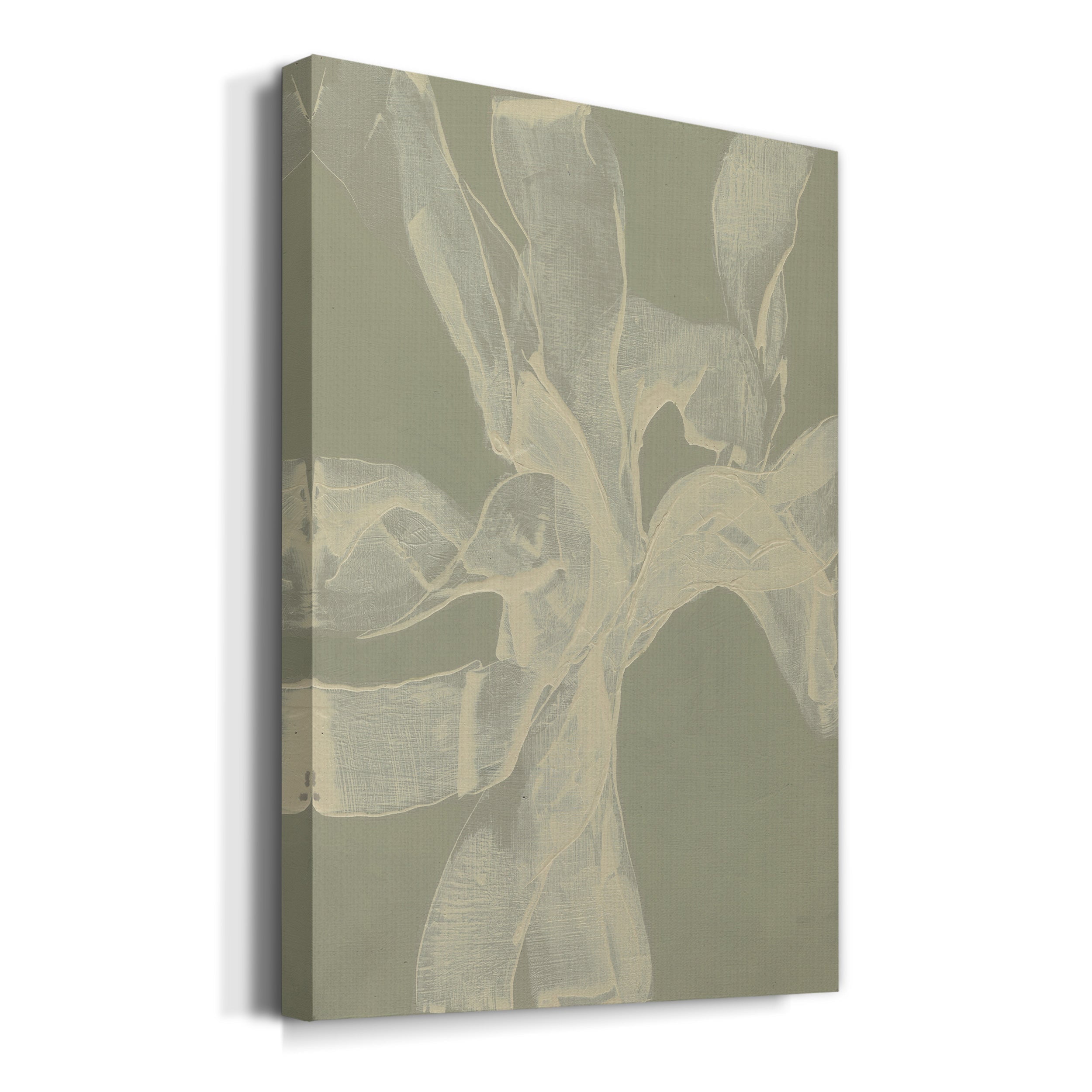 White Ribbon on Celadon II Premium Gallery Wrapped Canvas - Ready to Hang