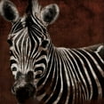 thumbnail image 2 of Grey, Jace 12x12 Gold Ornate Wood Framed with Double Matting Museum Art Print Titled - Zebra, 2 of 4