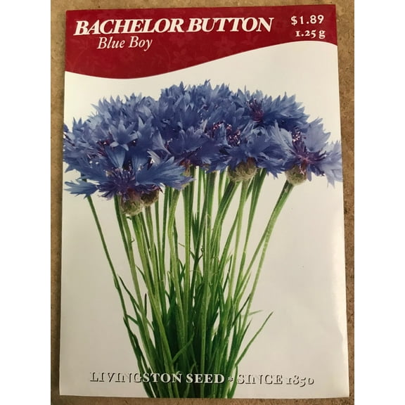 Blue Boy Bachelor Button Seeds - 100 Seeds