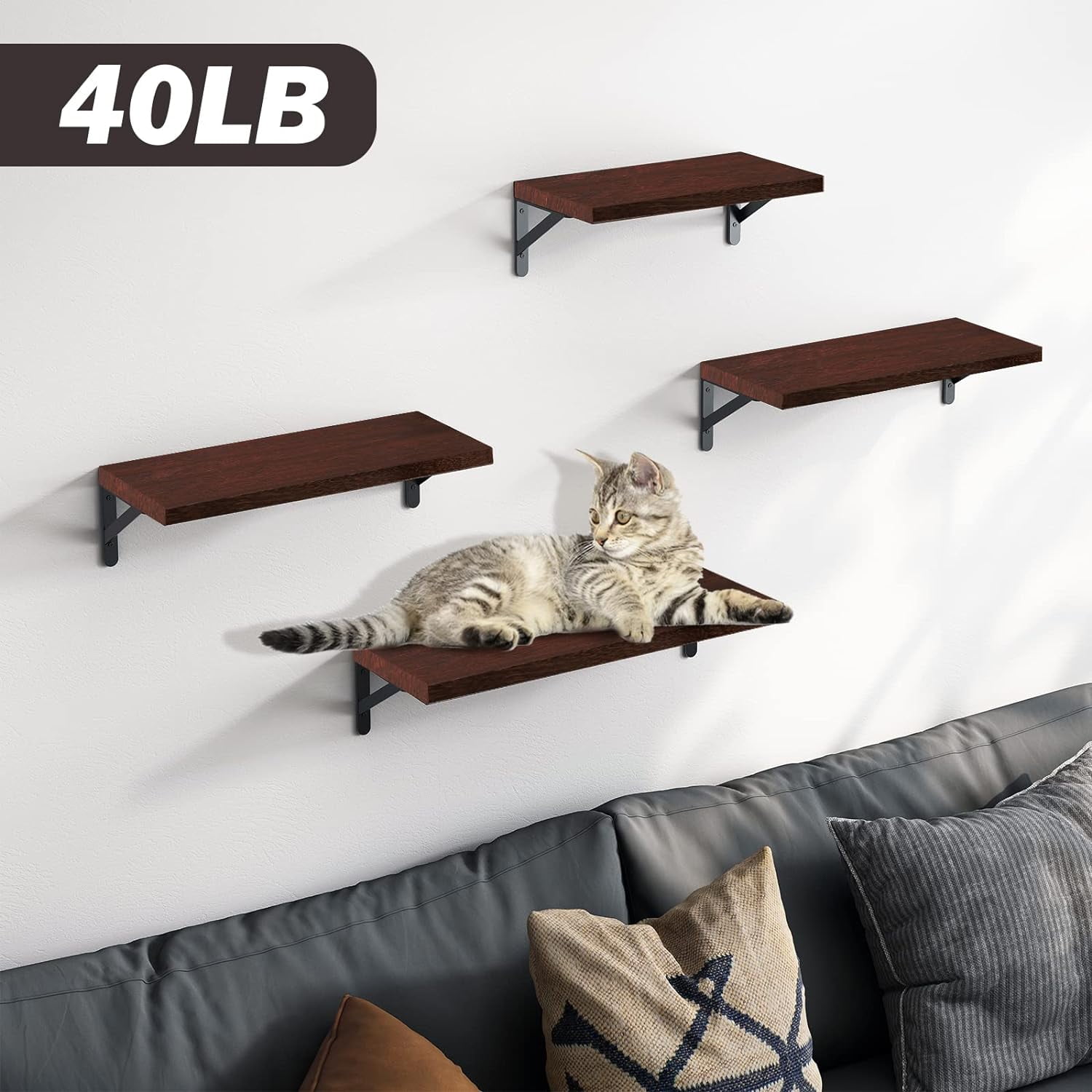 Fairy Floating Shelves, Set of 4, Walnut Brown, Multifunctional Wall-Mounted Shelves for Living Room, Bathroom, Kitchen, or Bedroom