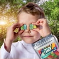 thumbnail image 6 of Fun Flavors Box- Freeze Dried Sugar Free Fruity Gummy Bears Variety Pack – Crunch Candy Treats, 2 oz, 6 of 8