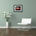 thumbnail image 3 of Trademark Fine Art "Flowers Waiting" Canvas Art by Philippe Sainte-Laudy, Black Frame, 3 of 3