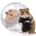 thumbnail image 2 of WORGEOUS Pelota transparente para hámster, pelota para hámster, pelota para correr para mascotas pequeñas, pelota para jugar al hámster, 2 of 8